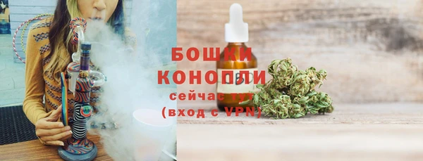 spice Богданович