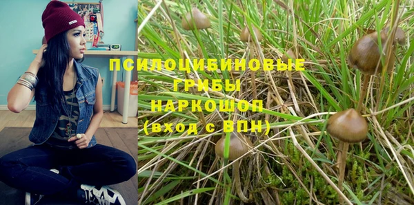 СК Бронницы